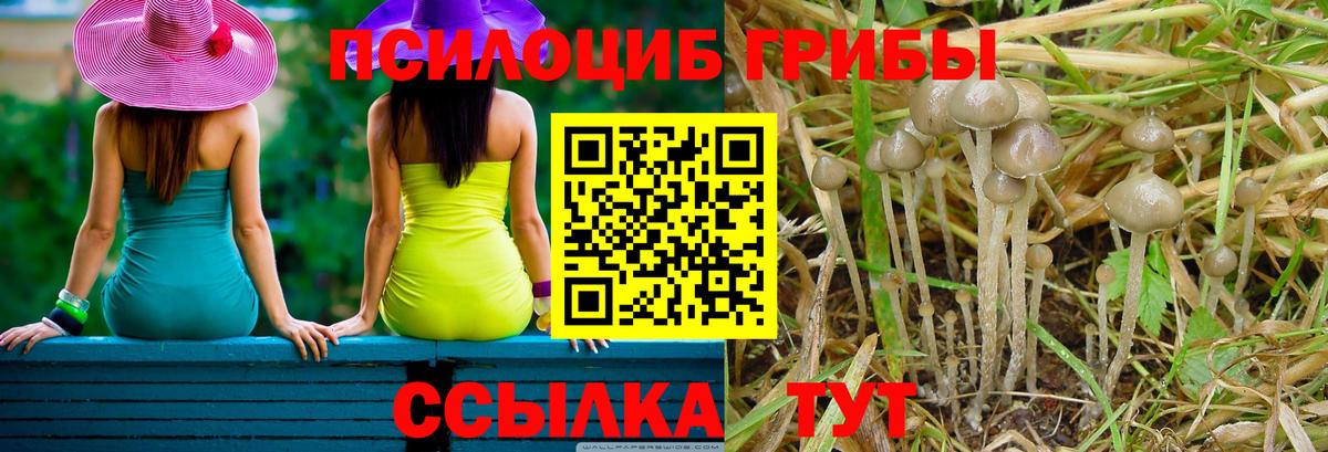 Псилоцибиновые грибы ЛСД Долгопрудный