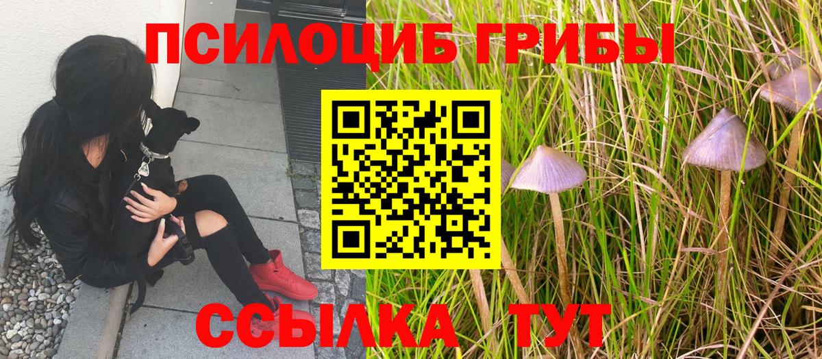 Галлюциногенные грибы Cubensis  Вход с VPN  Долгопрудный 